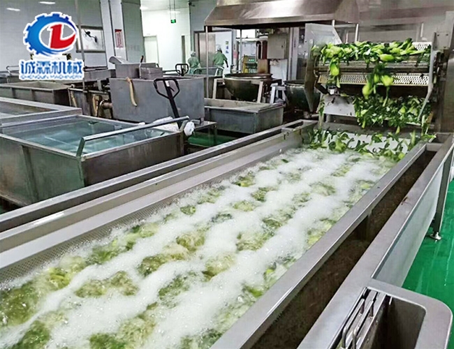 蔬菜氣泡噴淋清洗機